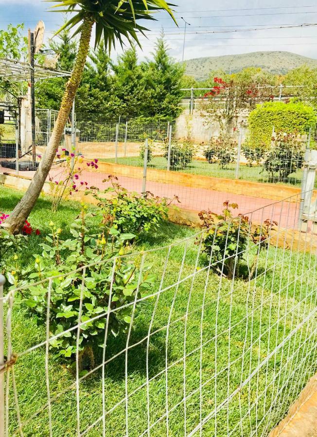 Sea View Countryside Home Near Athens Luaran gambar