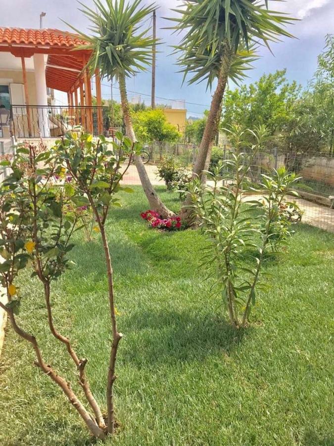 Sea View Countryside Home Near Athens Luaran gambar